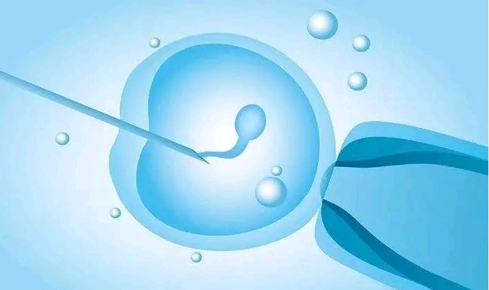 上海供卵不排队 上海东方医院试管婴儿费用 ‘胎囊看男女图解’