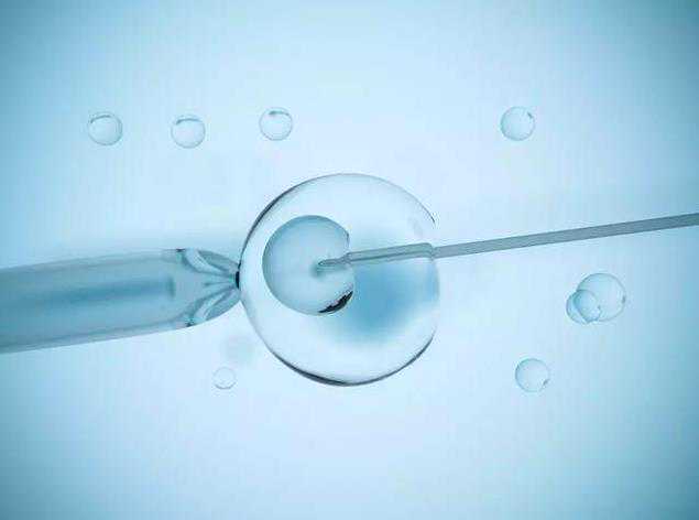 正规供卵助孕生殖中心&正规代生网,孕期能快