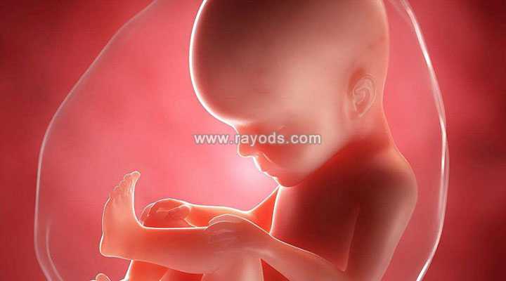 宁化县借卵生子的好处_安徽省妇幼保健院试管婴儿对精子有什么要求？对男性